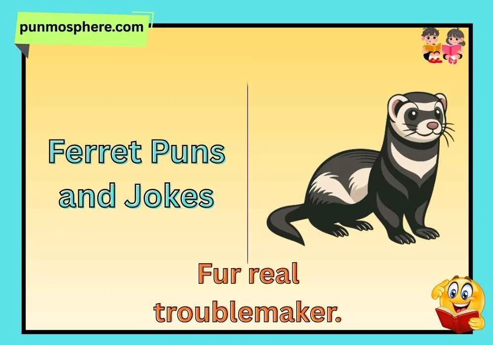 Ferret Puns and Jokes