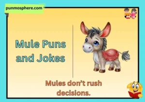 mule puns and jokes