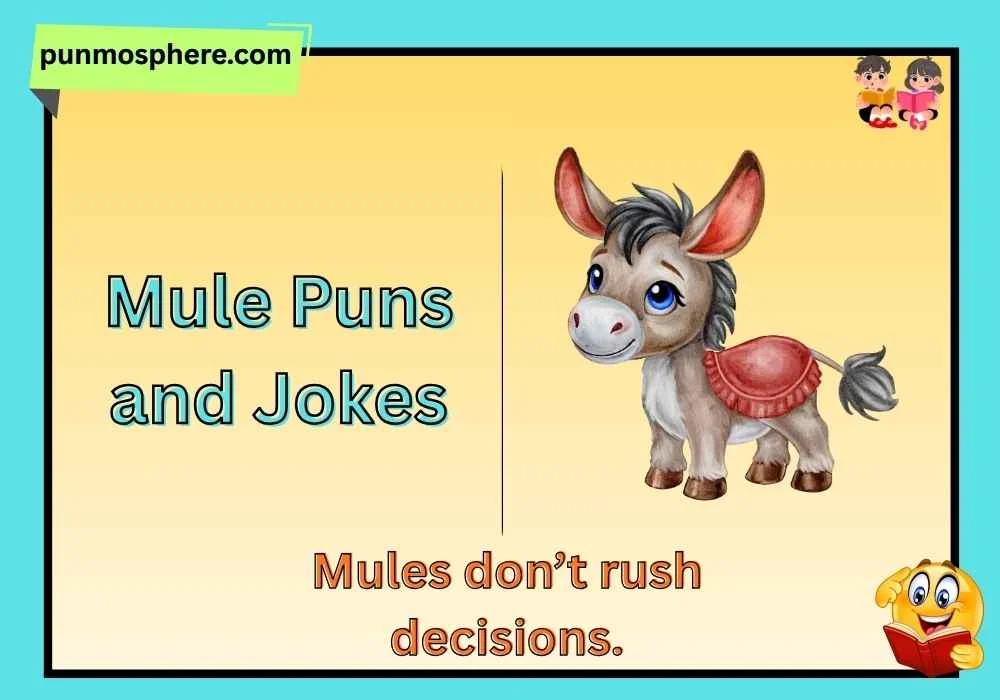 mule puns and jokes