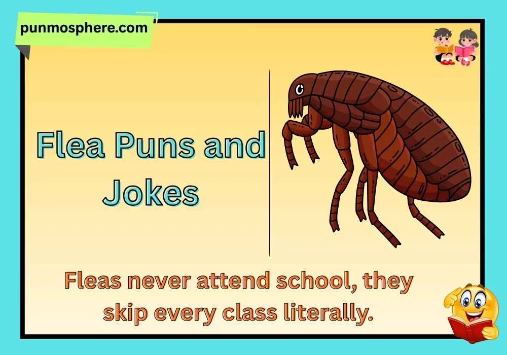 Flea Puns and Jokes
