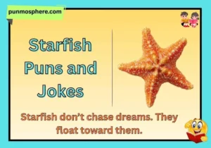 Starfish Puns and Jokes