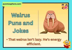 Walrus Puns and Jokes