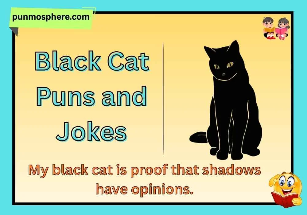 Black Cat Puns and Jokes