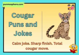 Cougar Puns and Jokes