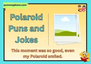 Polaroid Puns and Jokes