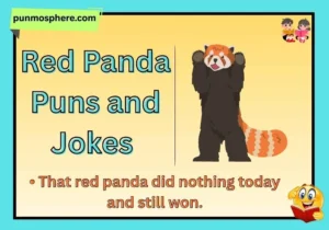 Red Panda Puns and Jokes