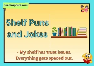 Shelf Puns and Jokes